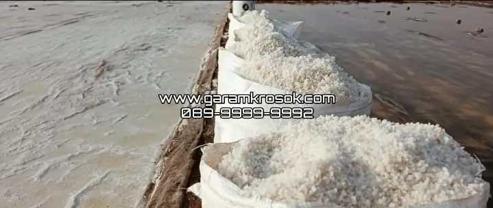 Jual Garam Kasar Aman Dengan Metode Lead Magnet: Menemukan Kemurnian di Tengah Ketidakpastian